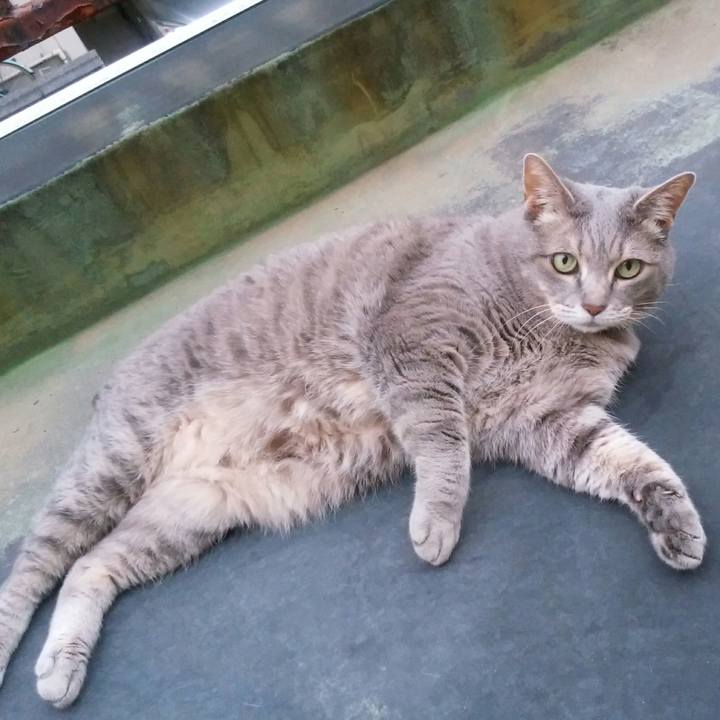 C2842c3d 521f 4d01 a745 b4eeb3a3f121