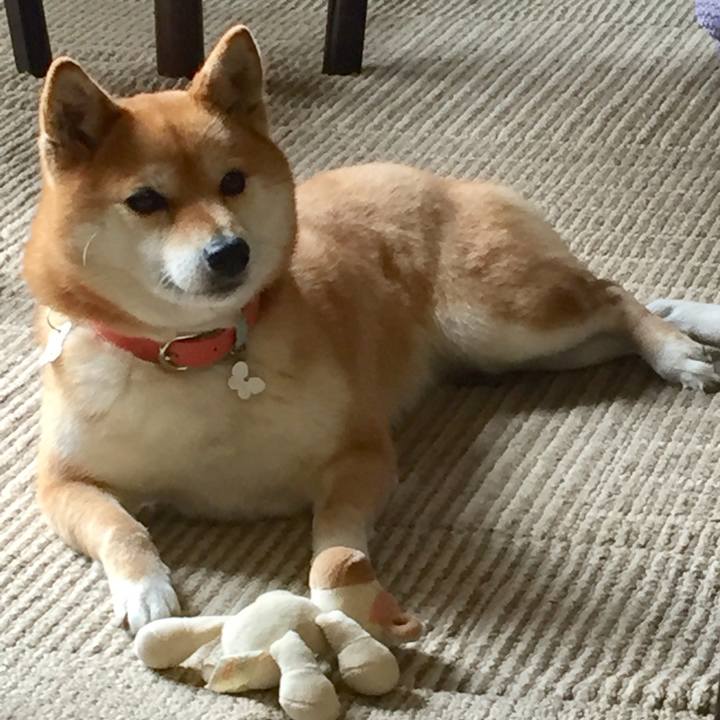 C2850b41 bbb2 485d a041 ed298c42f273