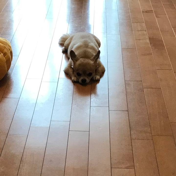 C28658f2 9172 44e0 a2ef a80b18bebd2c