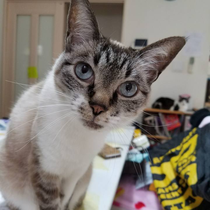 C2871e95 8993 4bd7 9120 62be26a7c849