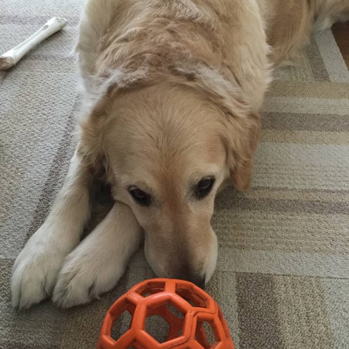 C287ef0e 6975 4259 89fb 14774d3d9368