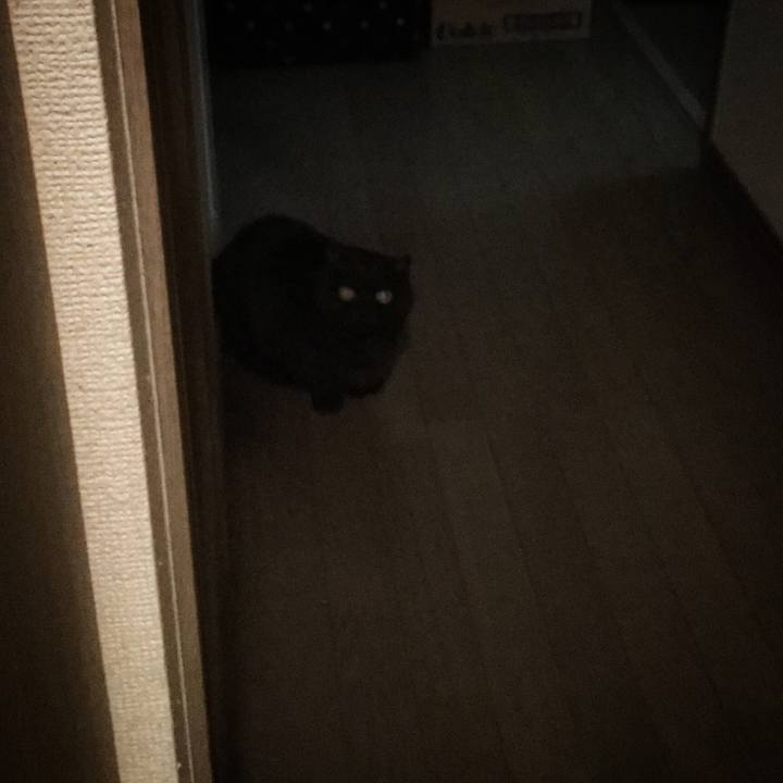 C2881516 5fdb 4a5e 94cd bb846f18edbe