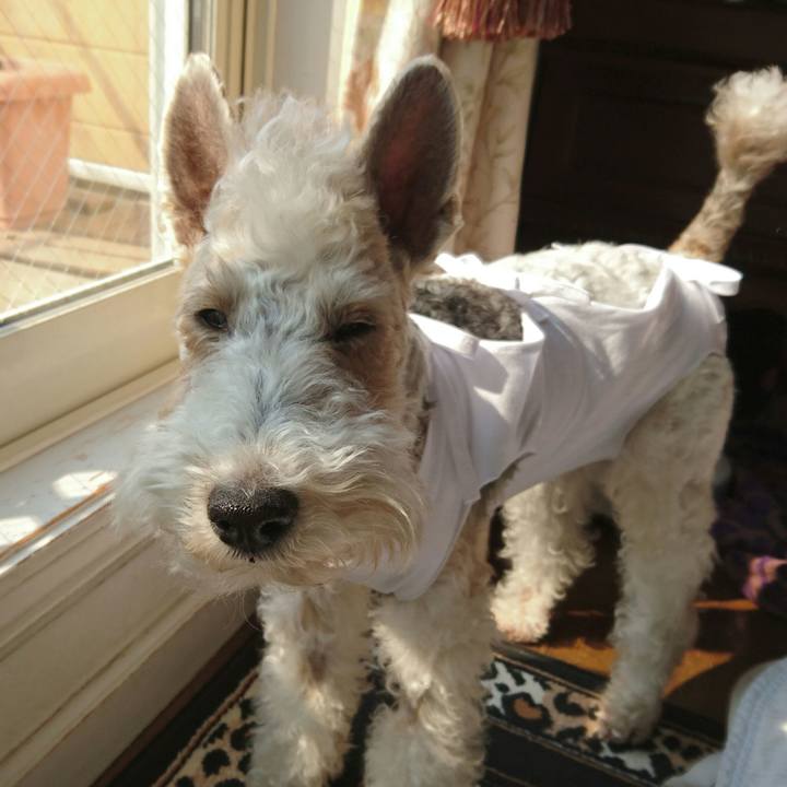 C2883c80 e550 4915 a3c8 9b4aefe91c26