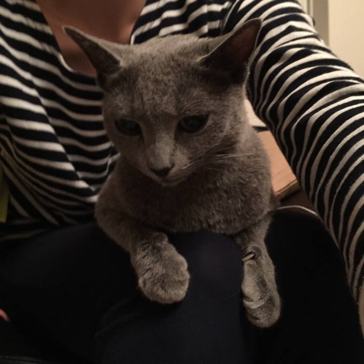 C28a05d8 3e2a 43f0 8bb5 fe9138d765c7