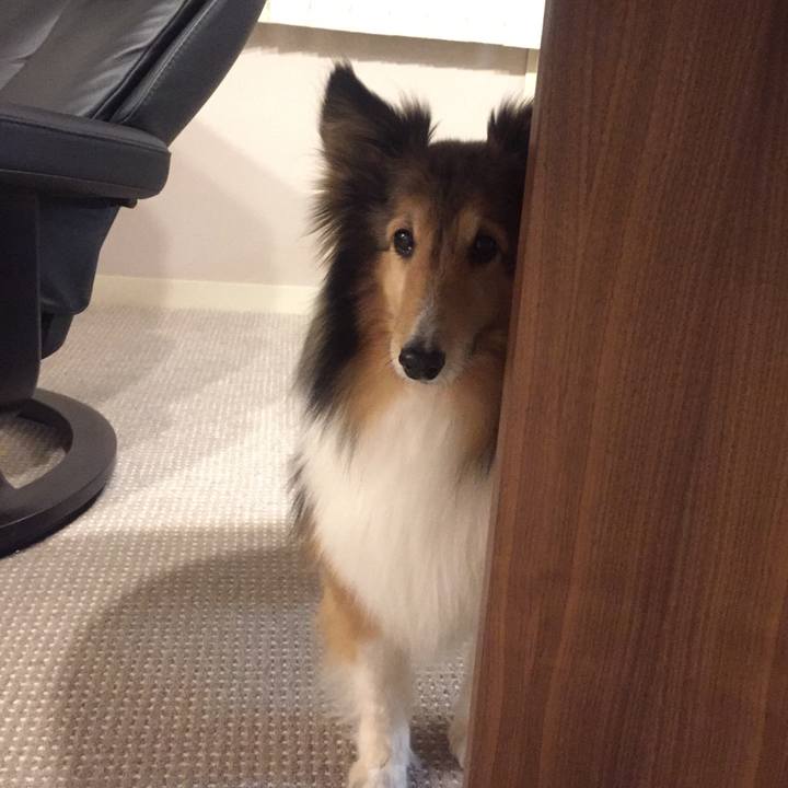 C28a9062 3fed 4c06 ba8c d77f818a67da