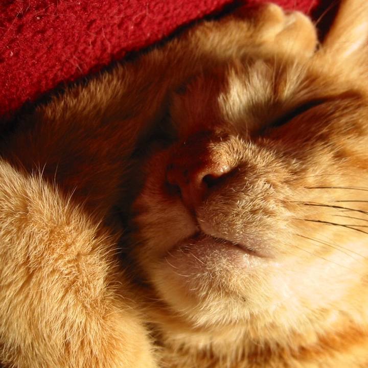 C28b3db7 8d13 432f a498 da5c11864bc9