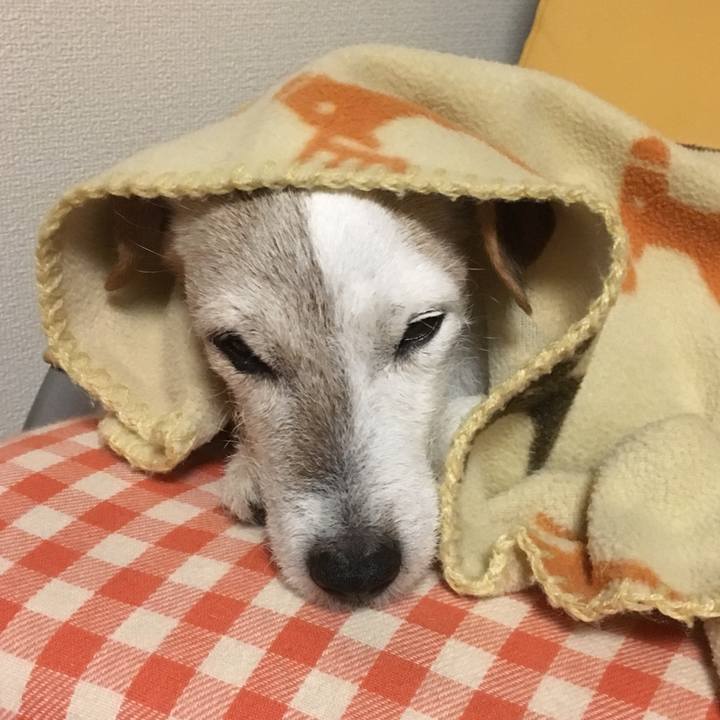 C28b5856 121e 4faf 8c36 af0083ce79e1