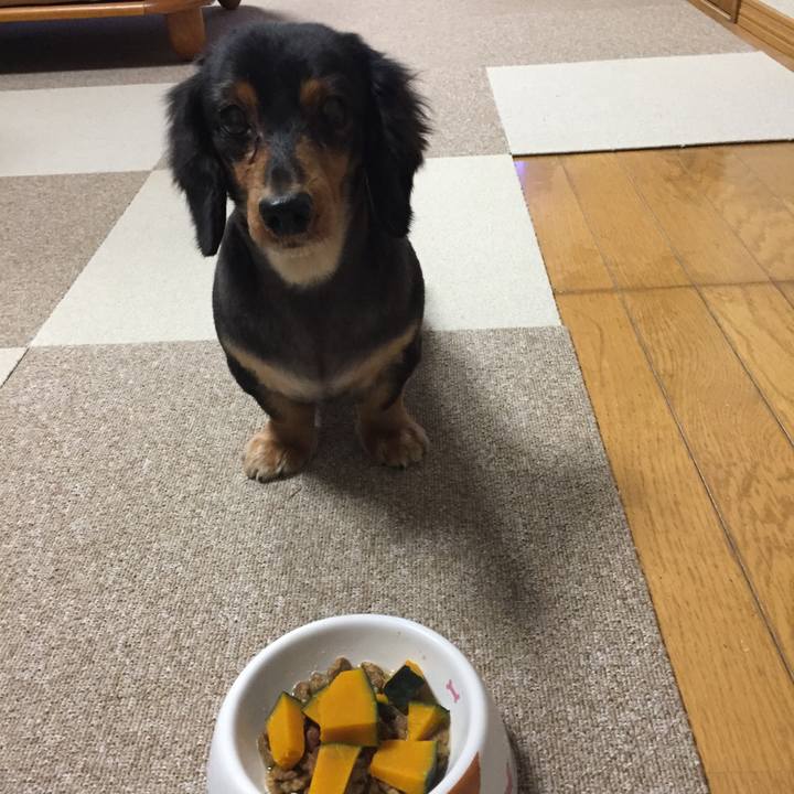 C28b669f 2eff 4bd1 99c4 de31fc48c675