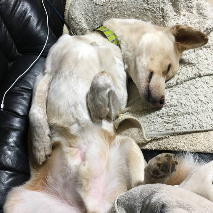 C28b8a5b e54a 4970 a227 15a0021b33fa