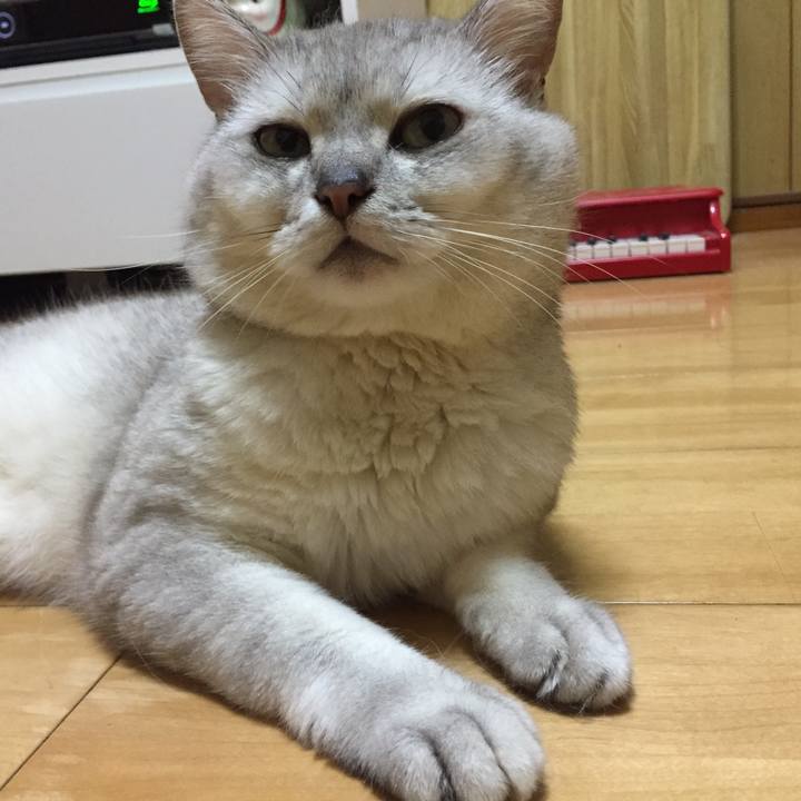 C28bde88 7552 477d b8b6 63e189c445f7