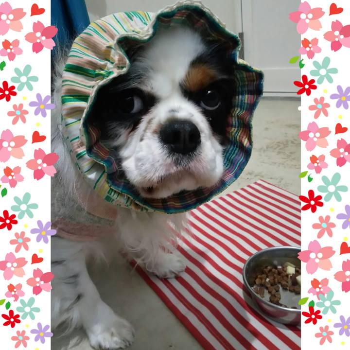 C28bee8d 90eb 423a bdae a8461e638c34