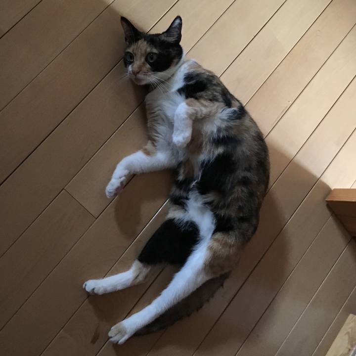 C28c68f7 8a78 454c 8d24 52faaba1ddfc