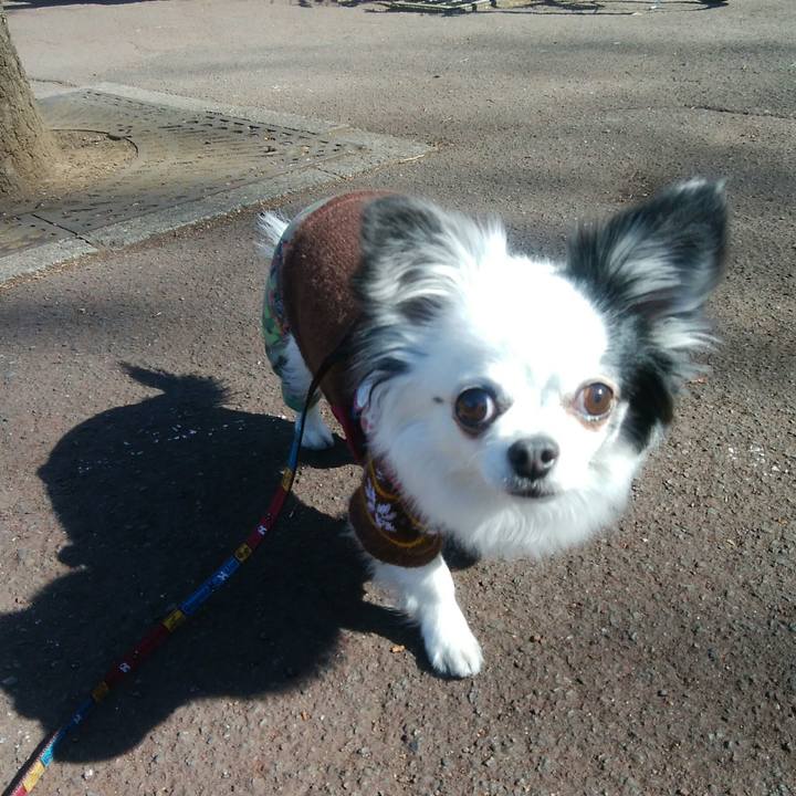 C28c69ed 0779 44db 85c9 9934fa4e94b3