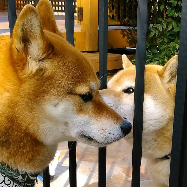 C28c8bec 493d 416b a75e 6e7104542614