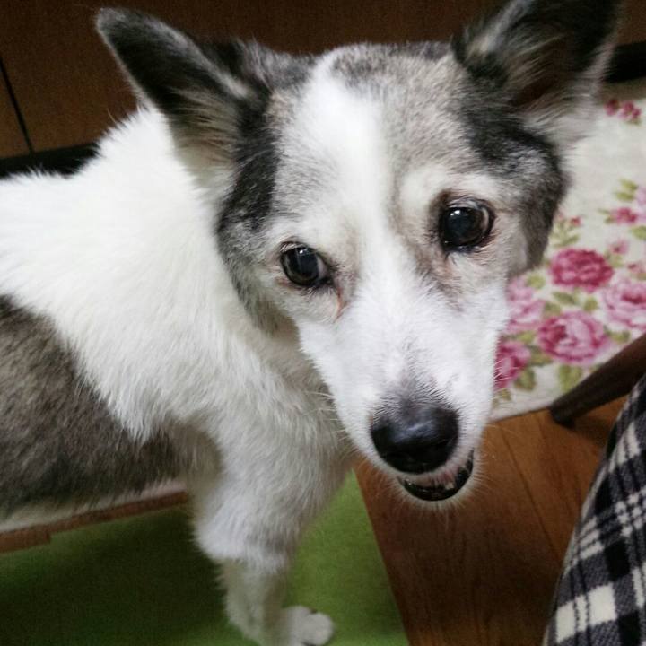 C28c9154 3990 43da 8d1d 1091f157fcbd