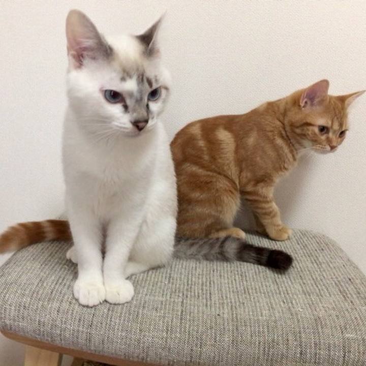 C28d6702 8757 486c 8fc7 e9c1836eeba0