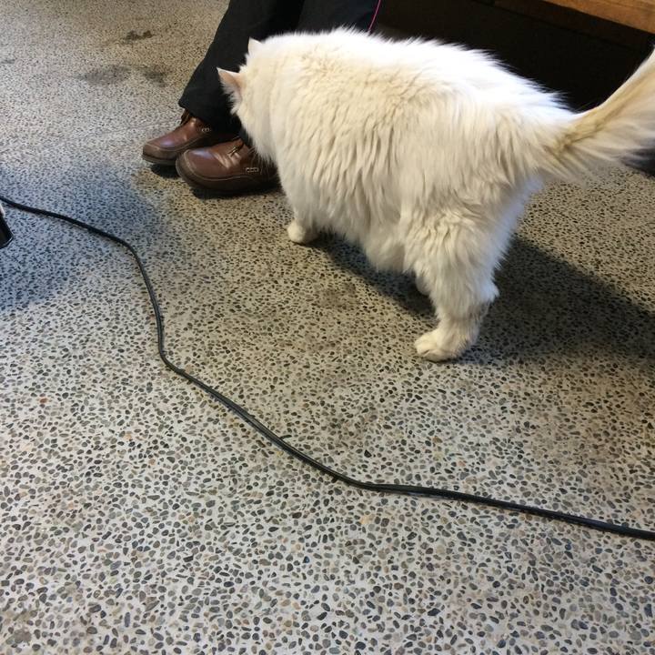 C28d9d5b 0c39 4537 afb9 f84d200fe3e8