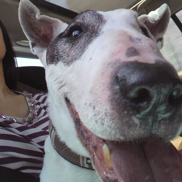 C28dd86f bf0a 4dcb 8c6a 966efeed30d7