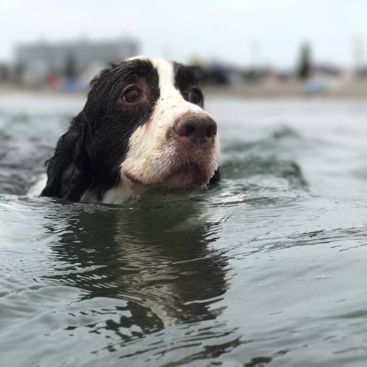 C28e2929 a64f 438f 864d 3c1910cb5e38