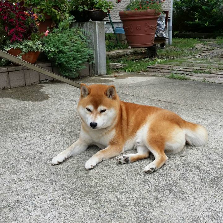 C28e66f8 3a72 46f7 9efc 65f3c8eed3b2