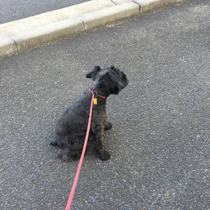 C28ed72e 3417 4a35 bbd4 1173b5e08e66