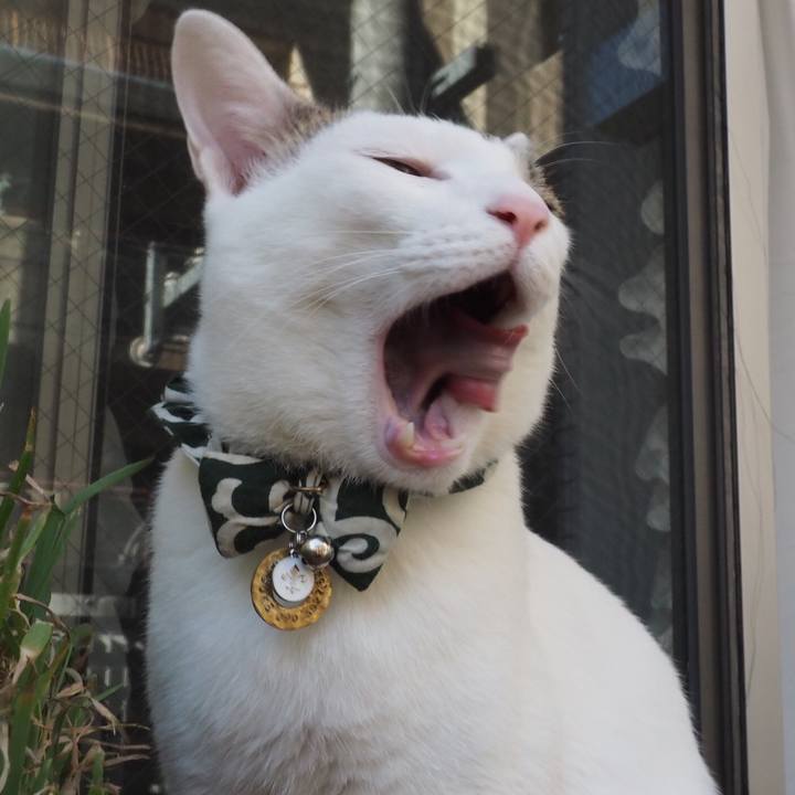 C28f06d2 1be6 4874 bde0 e4cf7773459a