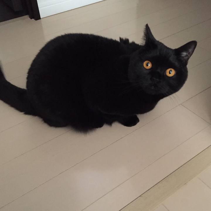 C28f6746 5638 45eb 8788 cbd58c123d5a