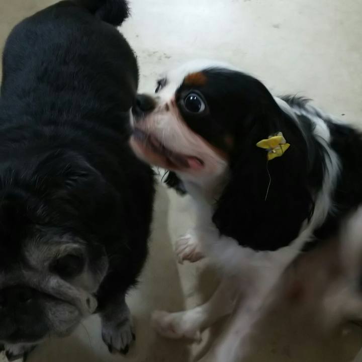 C28f8689 e63e 4e0d 8c06 13cacbed07ce