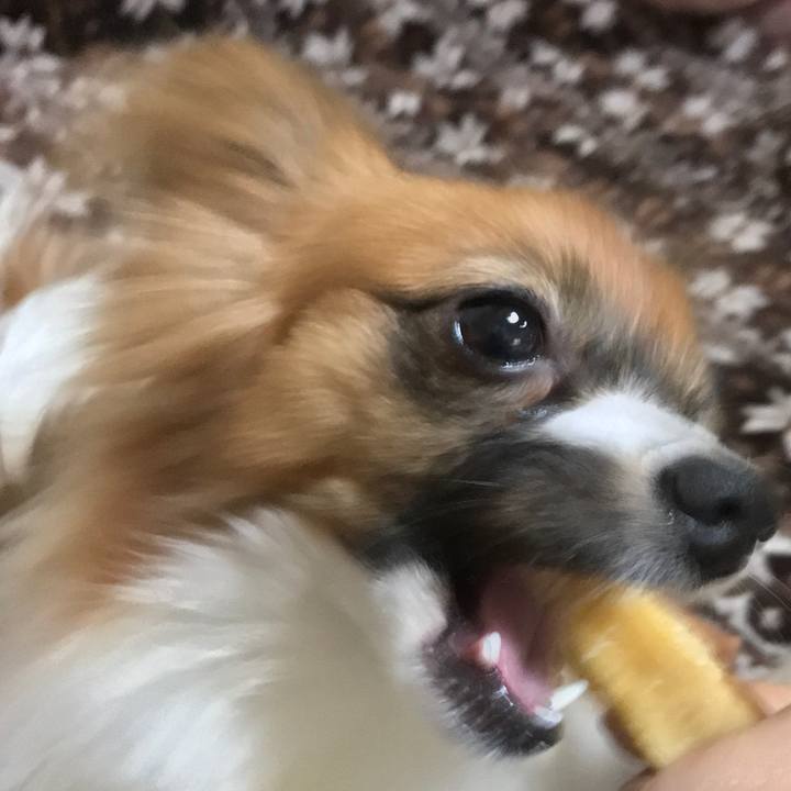 C28f98c0 0897 444c 8cb3 10d993a9a429