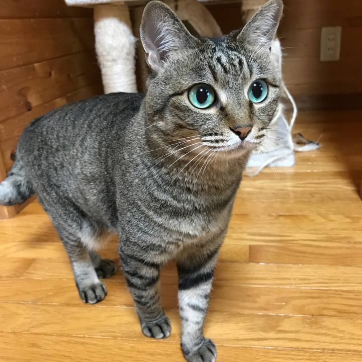 C28fa384 3baf 48d2 8cab ac170ad7d198