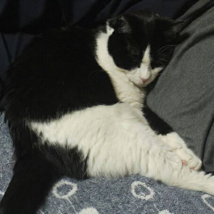 C290819f b2c2 4995 8b71 e3b7e64c4ef8