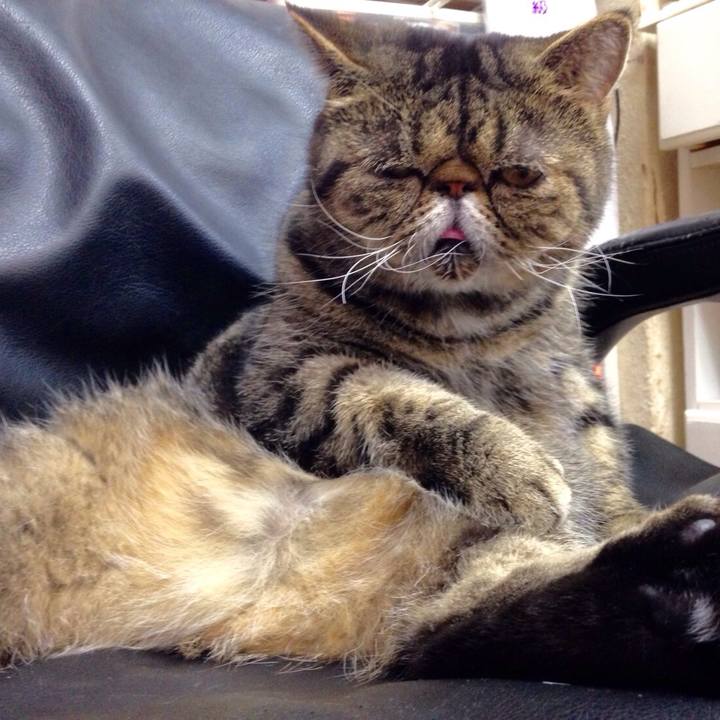 C291c2b4 640c 47a7 a742 c019f9e6c9a6