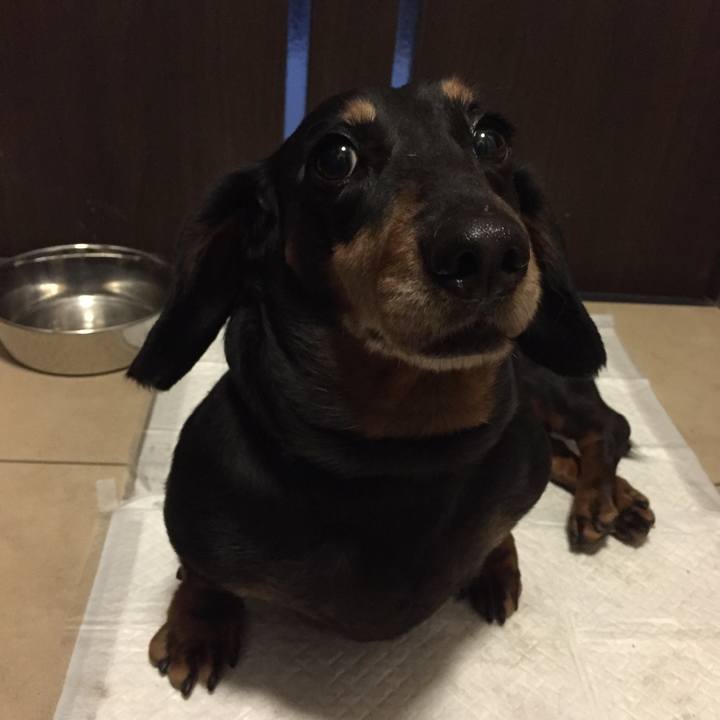 C291d58c 4812 4991 8955 89a8cf840eab