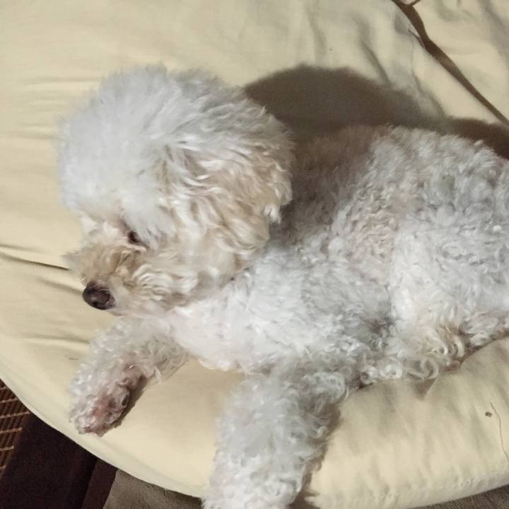 C291f9ab 2d07 43cb b2d4 588f453bd2f8