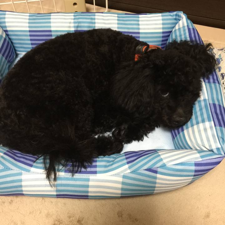 C293fe66 52d3 43e5 835f 904262a279fd