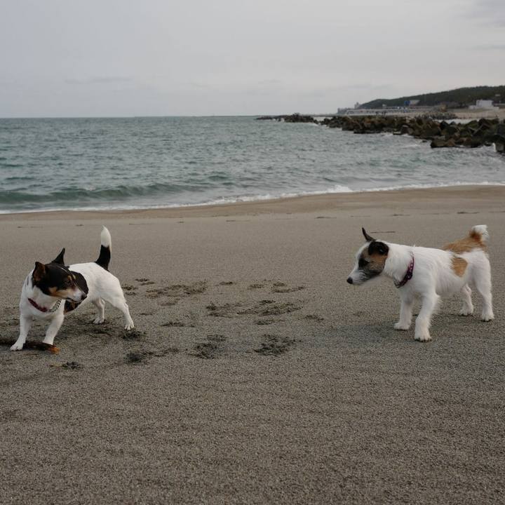 C29432b7 f690 4f05 b0c0 c016f0c9951e