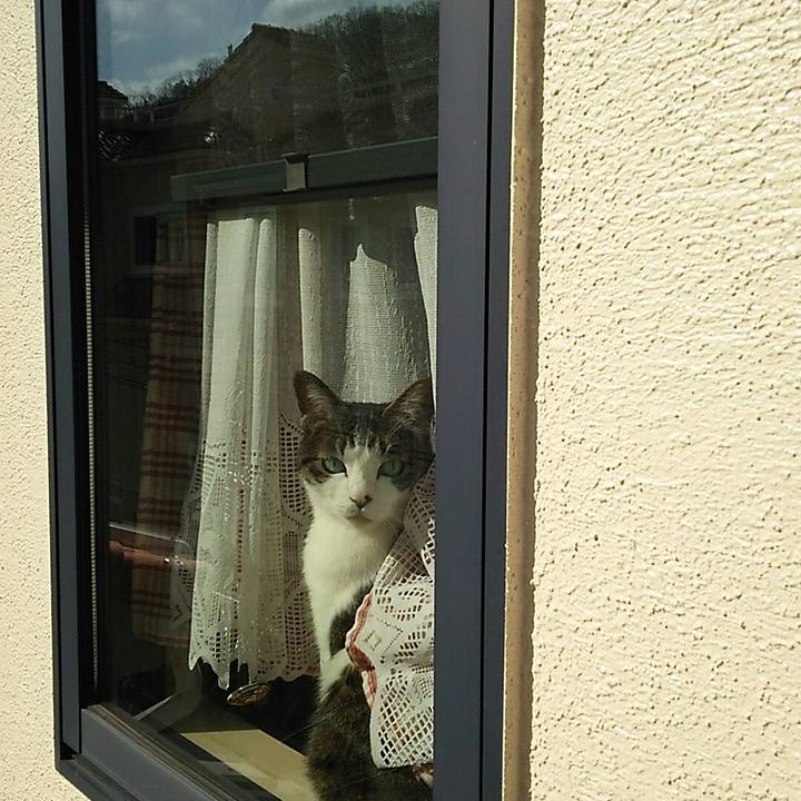 C2944297 8e37 40d7 86cd 824647c5d9c0