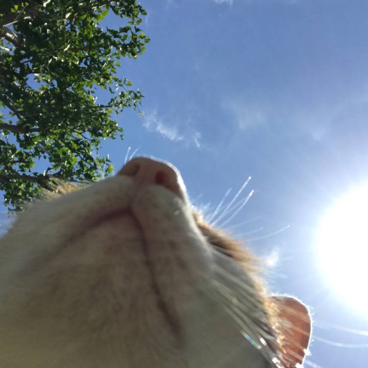 C294911e fb8f 4c23 af36 0c5122e30fe0