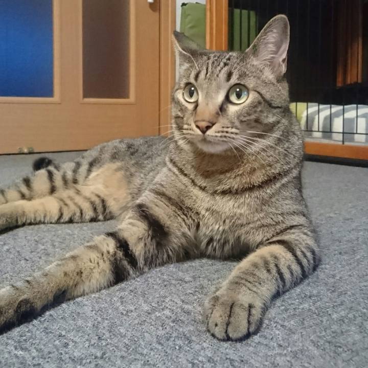 C294d224 e08c 401f b918 5a0ef59538f8