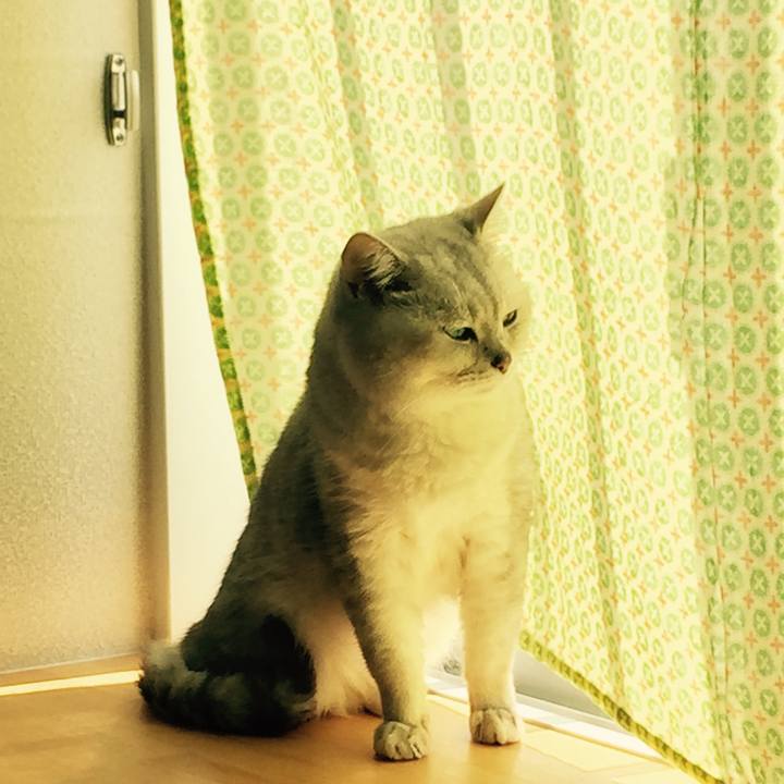 C294eab5 82ad 43f0 b1ec 2672c2f9f34e