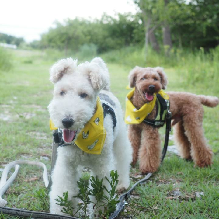 C2953918 e718 42cf 8835 5ca3c3878a6c