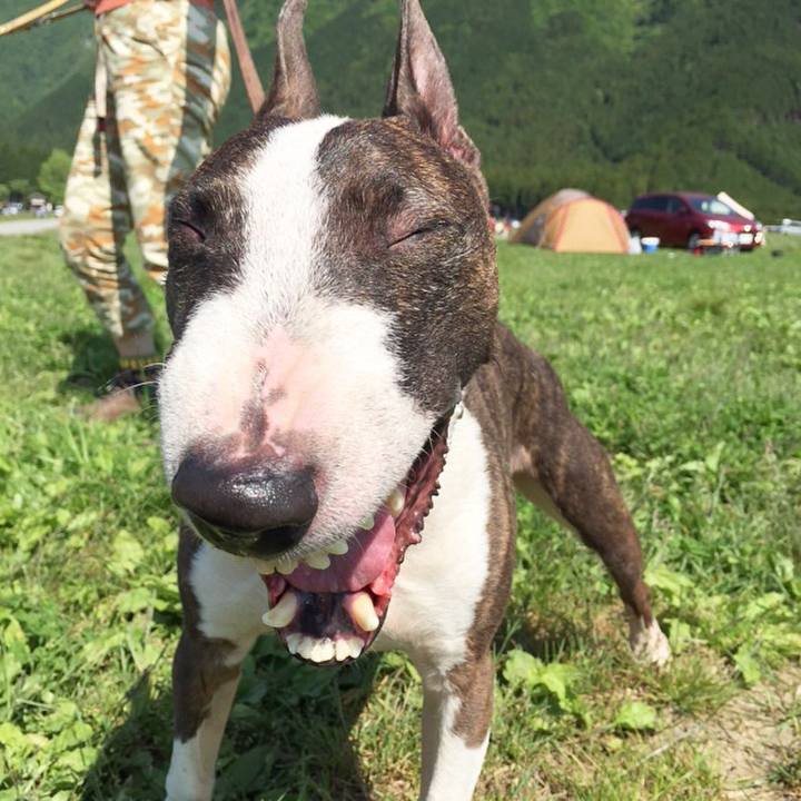 C2957c77 e83c 4540 a2f9 210008d6b347