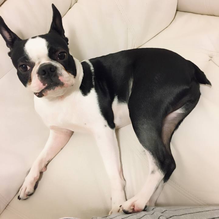 C2959f63 bac4 4ed3 8fc2 bd0364bb4704