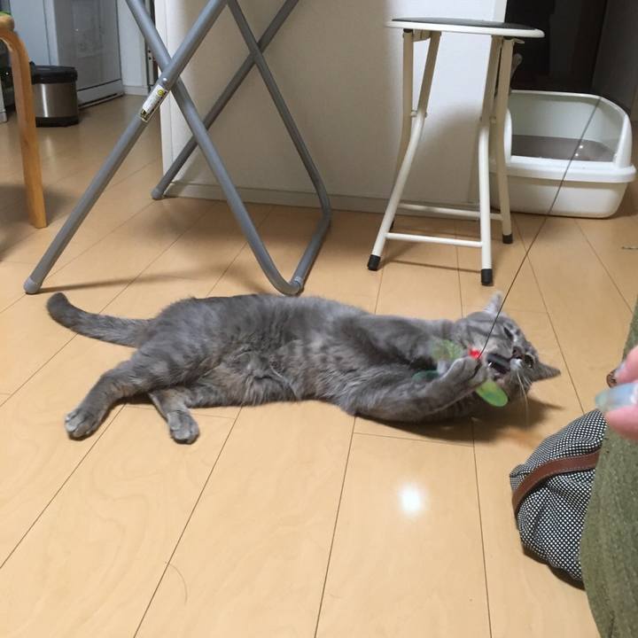 C295f17b 74f1 4540 99c5 af72c28a0950