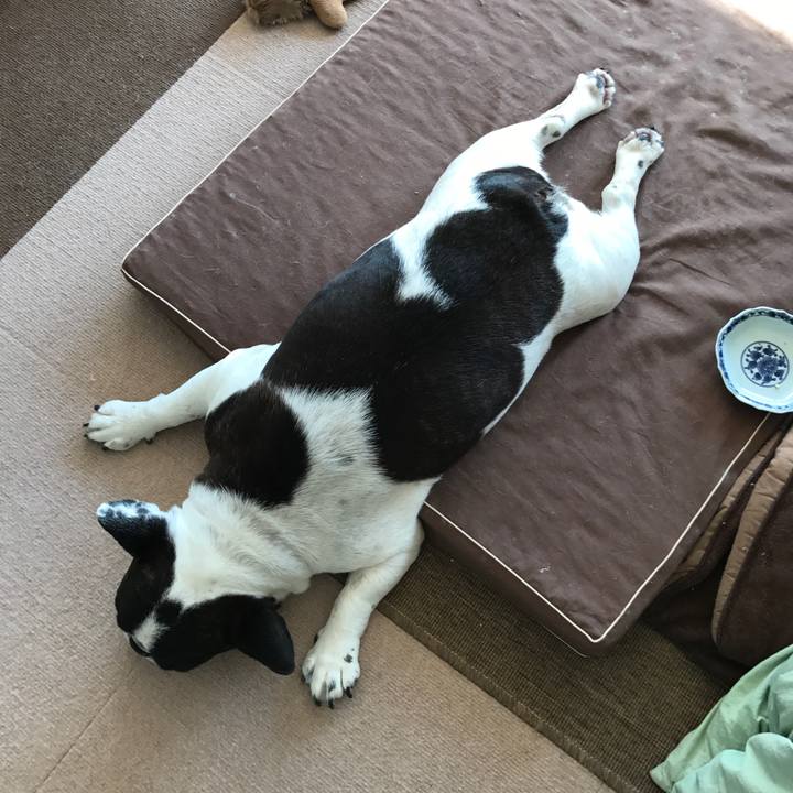 C29621ca 9850 40c0 bbff 78e1ba6bace2