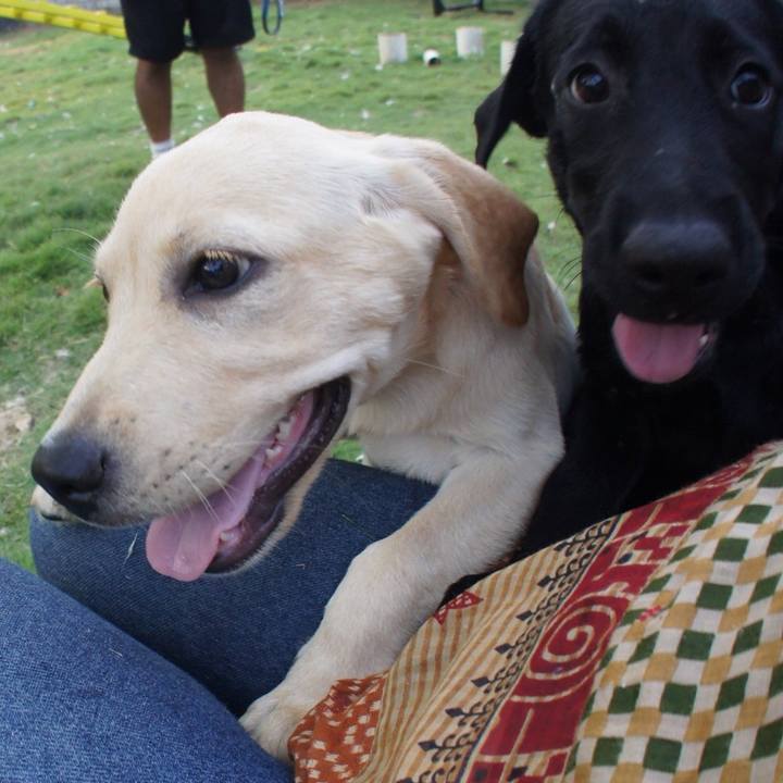 C296aea7 f48b 4731 9d1c 85c78a9a31f7