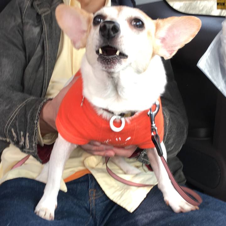 C296e3b4 a019 43e4 92ef d9aaf7ca27e5