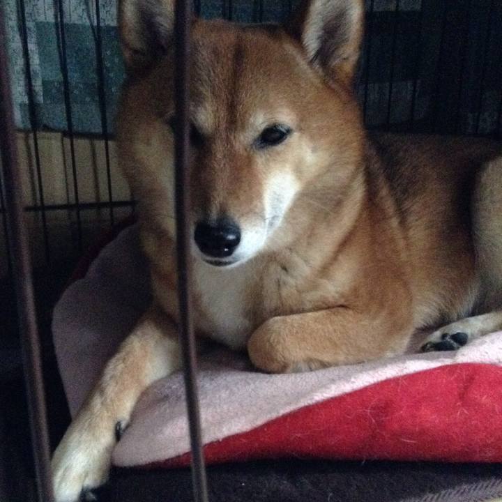 C297f677 87bb 48af 8226 e9c39eebe338