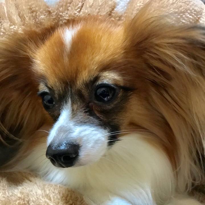 C2980e88 094f 4373 af8e 72a05e66588f