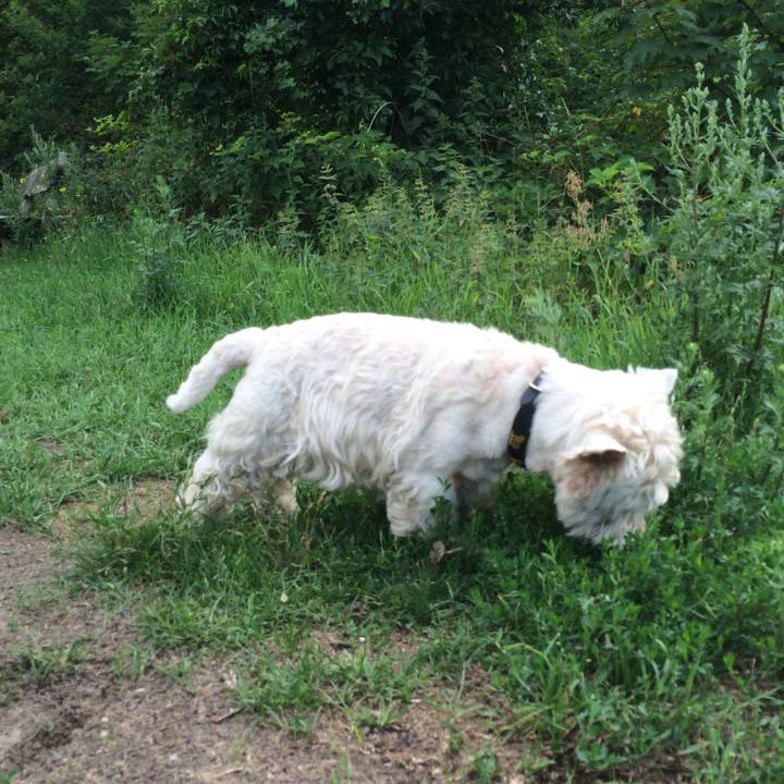 C29991f5 0039 444e a977 2d4591e33309